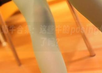 ROSI奶牛合集：这些牛的posing你学会了吗？